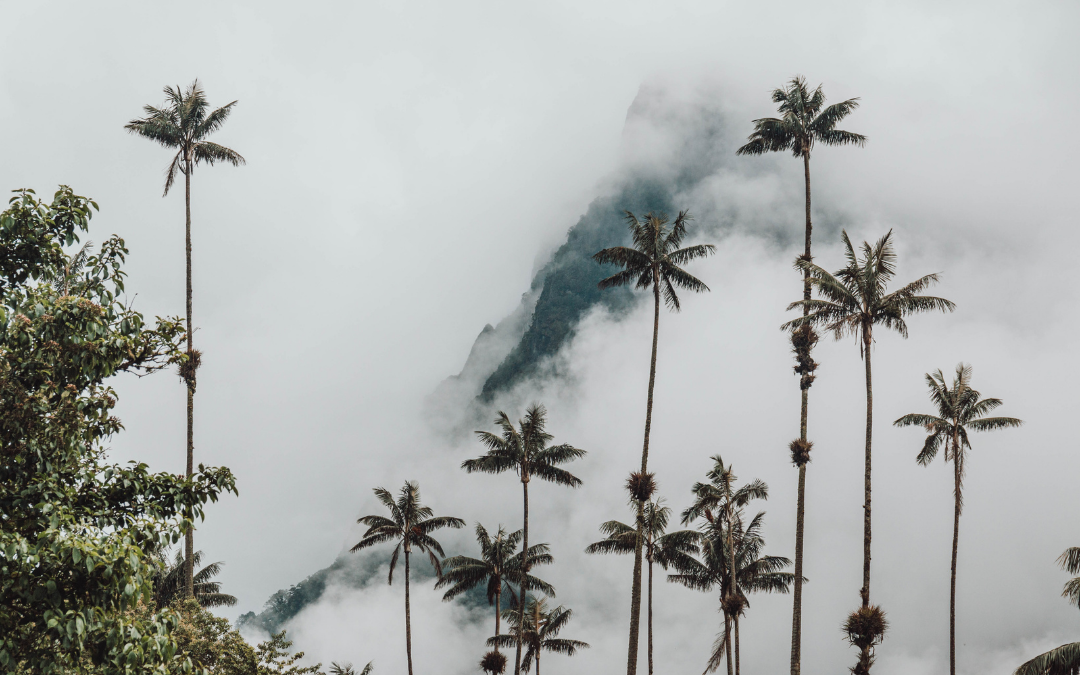 El memorando que impulsa a incluir el cambio climático en los planes territoriales de Colombia