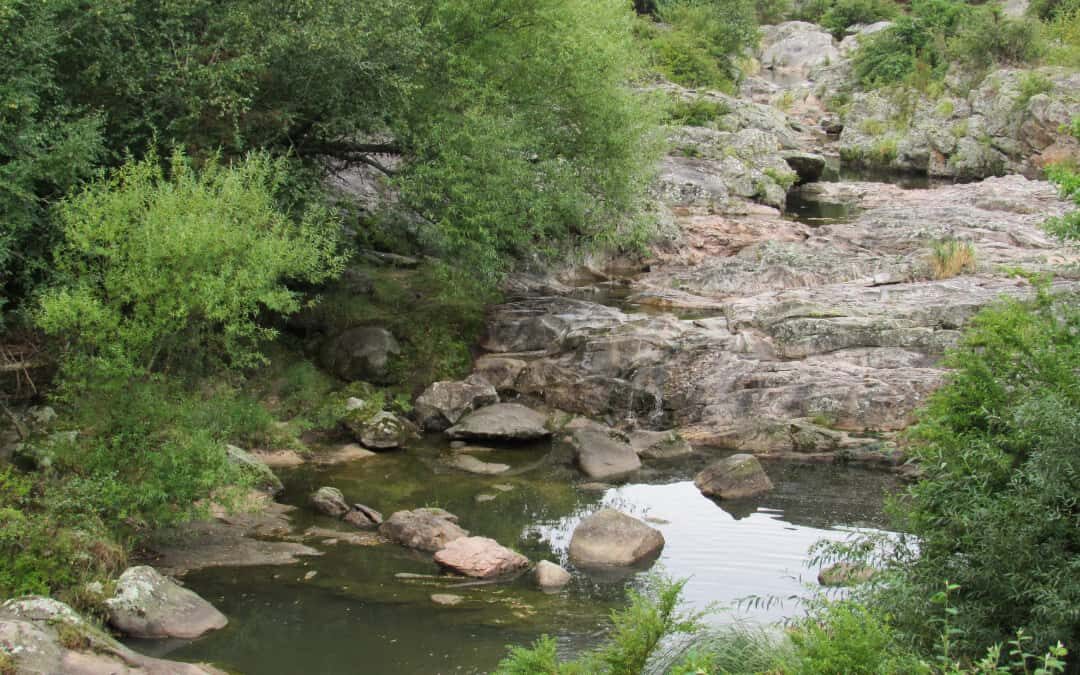 Este Día Mundial del Medio Ambiente es la oportunidad perfecta para que todos y todas construyamos un futuro más sostenible.