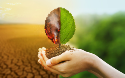 ¿Por qué es importante el Financiamiento Climático?