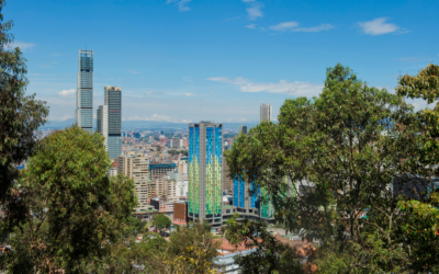 UK le apuesta a iniciativas climáticas en Colombia con Camino Hacia Carbono Neutral