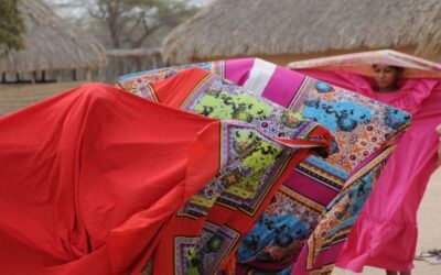 El rol de los pueblos indígenas en la acción climática