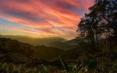 Comunicado de Prensa – Acuerdo de Escazú