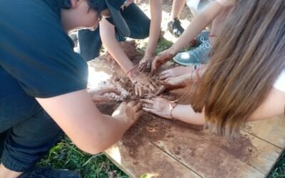 Tarde Santandereana