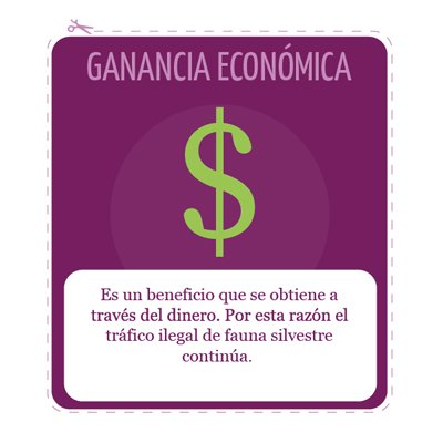 abastecimiento
