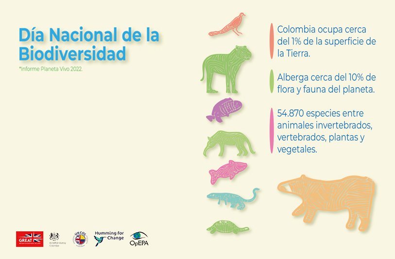 galeria1