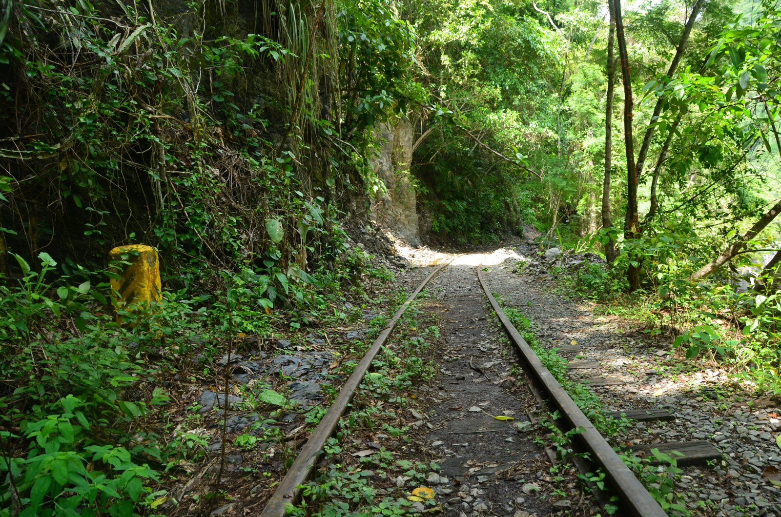 DSC_0325 (1)